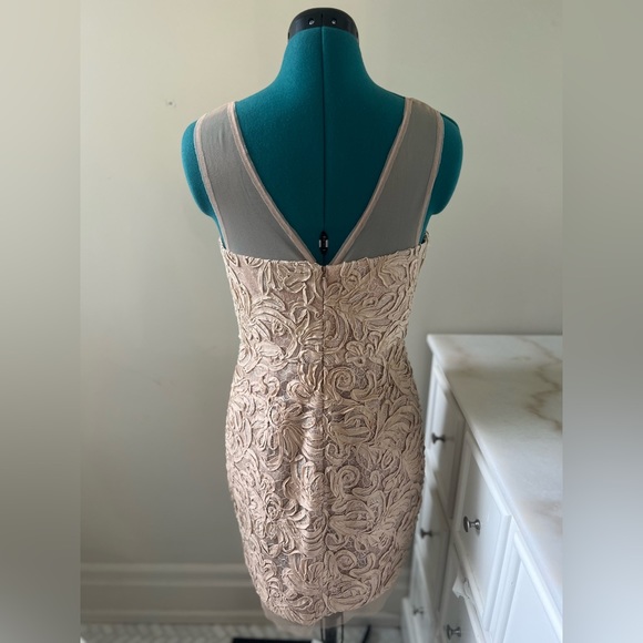BCBG Maxazria Dress (Nude, Mesh, Shimmer, US 6) - Picture 3 of 3